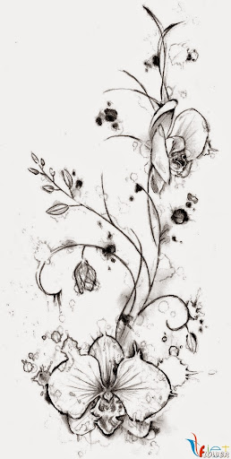 hình vẽ hoa lan bằng bút chì