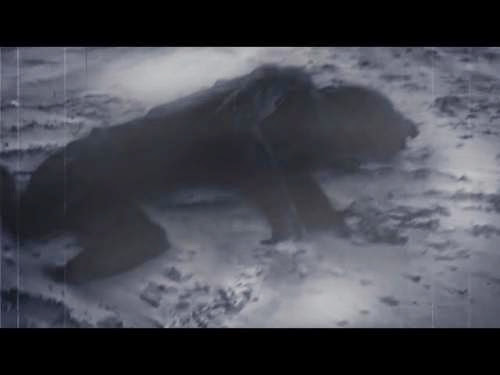Alien Mysteries Monster On Plum Island Beach Footage Discovered Must See