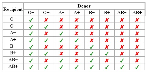 Blood Types Receive And Donate Chart