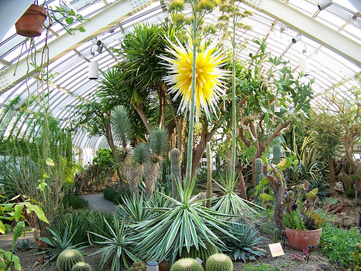 Cactus room, Phipps Conservatory and Botanical Gardens, Pittsburgh