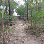 path up to thornliegh oval (64337)