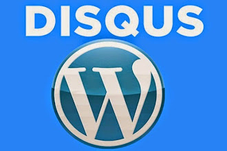 Actualiza el plug in de Wordpress Disqus