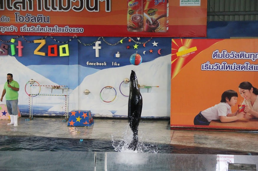 Испытание отпуском. Ноябрь 2014