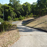 Fire trail and culvert behind houses in Green Point Reserve (403531)