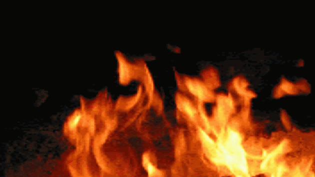 Cover photo