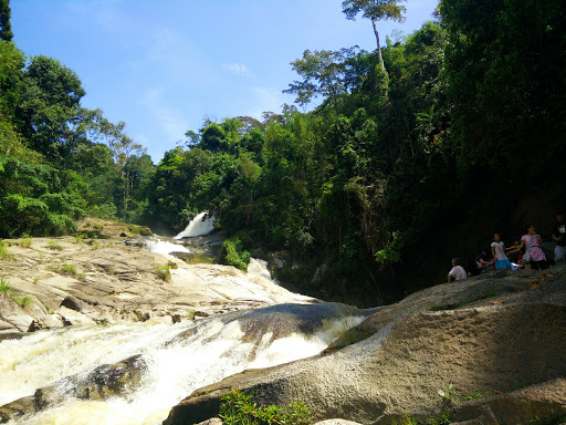 Chamang River Recreational Forest