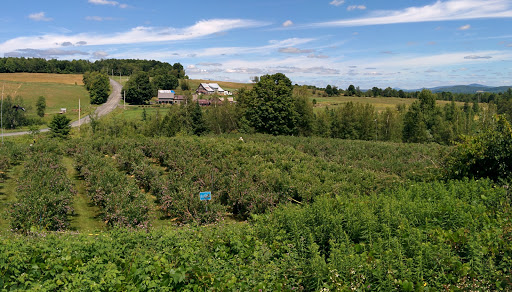 La Colline aux Bleuets