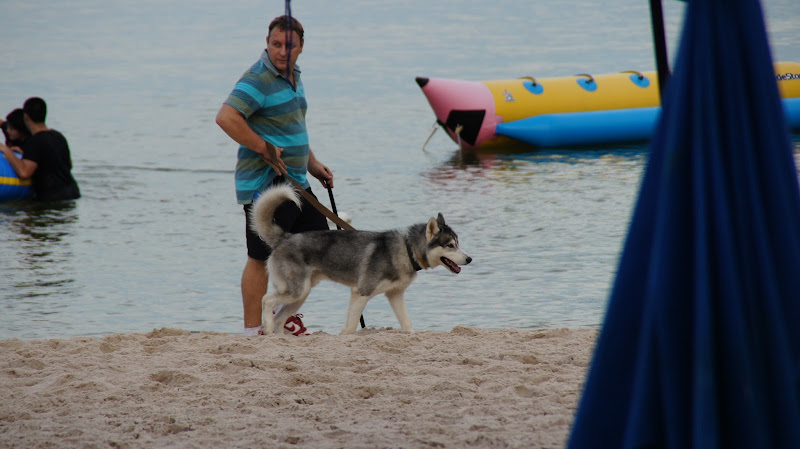 IMAGE_103.jpeg