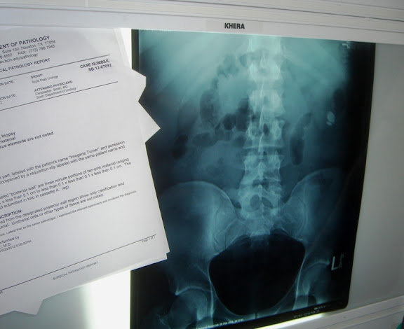 Урологи. Мыши. Девушка. 