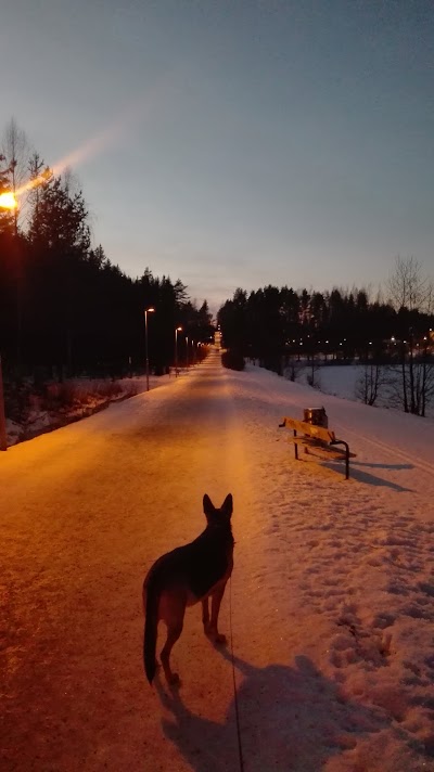 Photos of Kotalammen koirapuisto