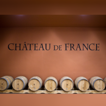 Château de France, vins de Pessac-Léognan logo