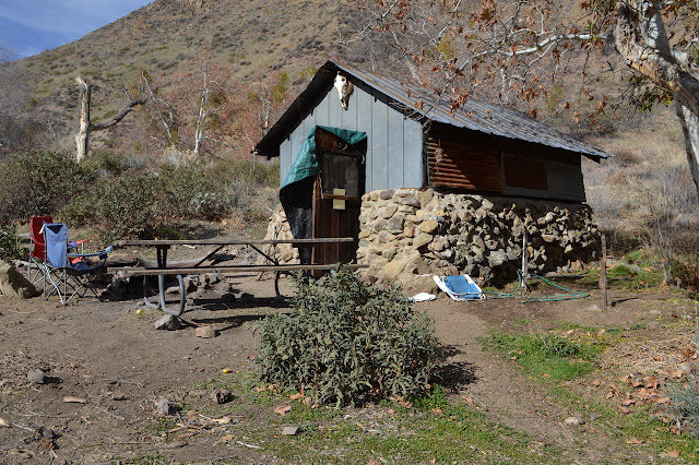 cabin at the camp