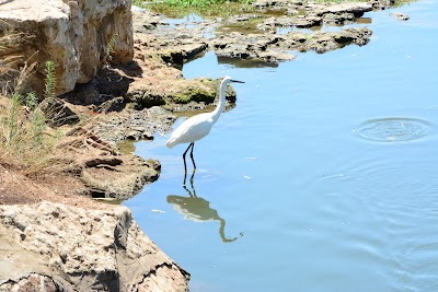 Photos of Sheva Tahanot
