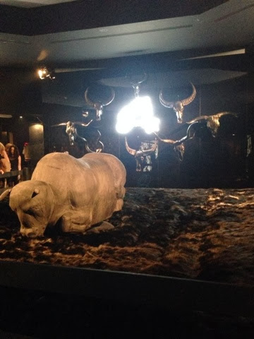 Philipp Plein - Noir Cowboy party Philipp Plein - Noir Cowboy party