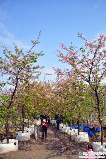 芬園花卉生產休憩園區