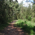 following the georges river service trail (77086)