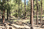 Paseo del Lobo Section 42 (Photo by M. Sorum)