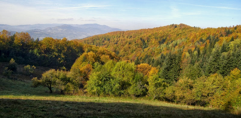 os088 - Promem w góry - Dzwonkówka z Łącka