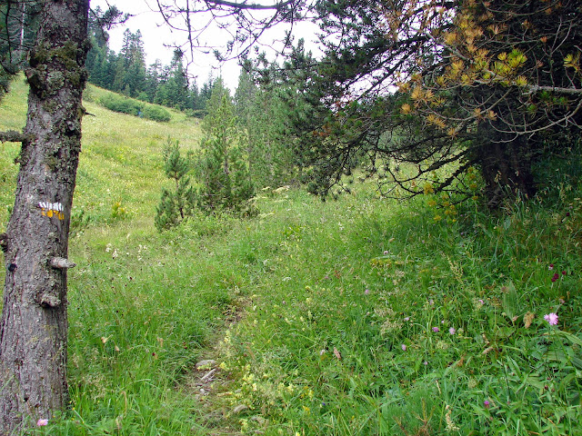 Senderismo: Banhs de Tredòs - Tuc de la Salana - Llacs de Colomers