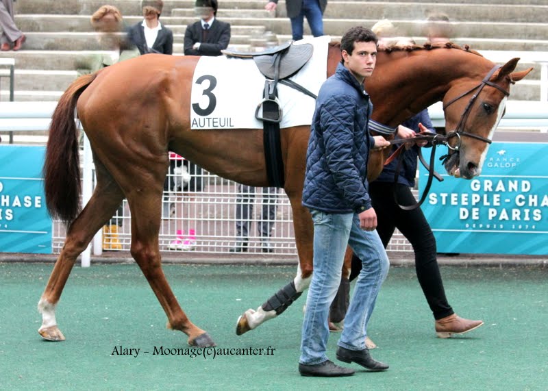 Photos Auteuil 16-05-2015 Week-end printanier de l'obstacle  IMG_9305