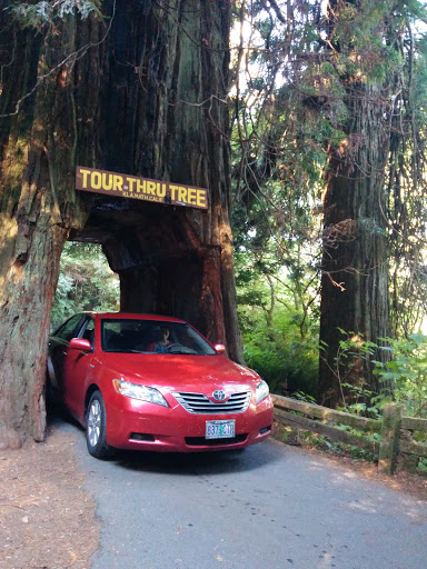 Tourist Attraction «Klamath Tour Thru Tree», reviews and photos, 430 California 169, Klamath, CA 95548, USA