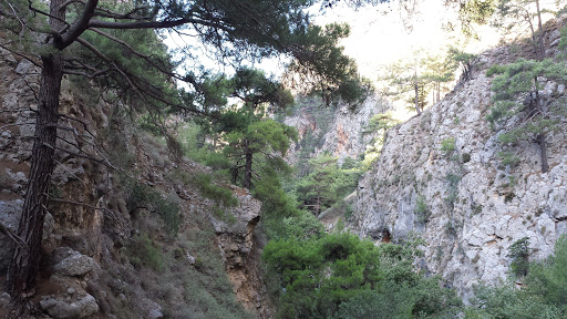 Agia Irini Gorge