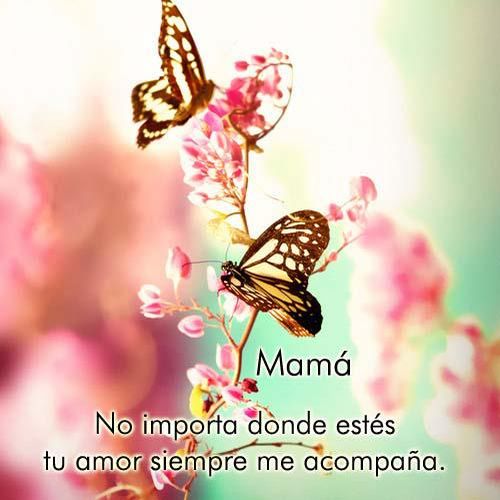 Dedicatorias para el dia de la madre