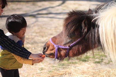 Photos of Shikinosato Fureai Zoo