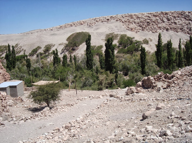 El salar de Atacama y las lagunas altiplánicas - EL AÑO DE LAS DOS PRIMAVERAS: 4 MESES VIVIENDO CHILE (18)
