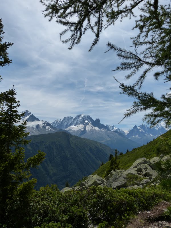 Randonnées dans le Mont-Blanc [FZ-150] P1050744