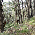 You can see Tooma road along the western end of Dargals Trail (290246)