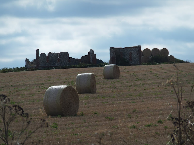 Ruins on the landscape