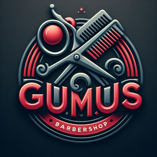 Öz Gümüs Kapsalon logo