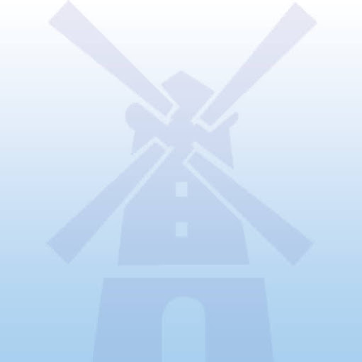 De Molen Schaatsen logo