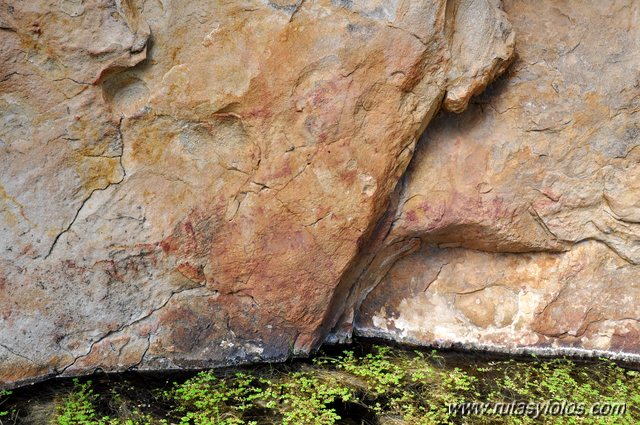 Cueva del Helechar III