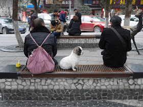 dog sitting between two men on a bench