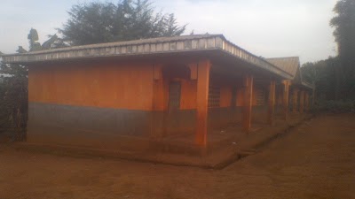 Photos of Public School De Batolong