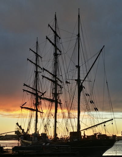 Museum «Texas Seaport Museum», reviews and photos, 2100 Harborside Dr, Galveston, TX 77550, USA