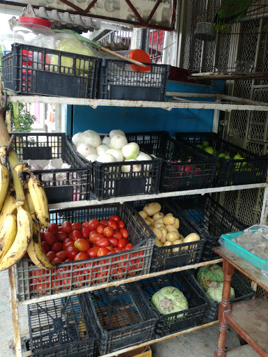 Abarrotes los patos, Guao 5, Miguel Hidalgo III Etapa, 86127 Villahermosa, Tab., México, Tienda de ultramarinos | TAB