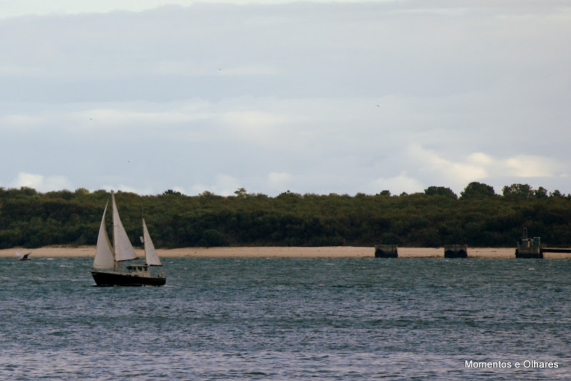 Fim de tarde à BeiraSado