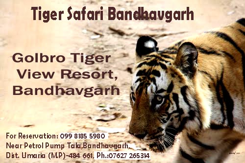 Travel Links, Wardha Rd, Gandhi bagh, Gajanan Nagar, Nagpur, Maharashtra 440015, India, Entertainment_Agency, state MH