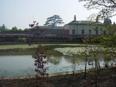 Woburn Abbey pond