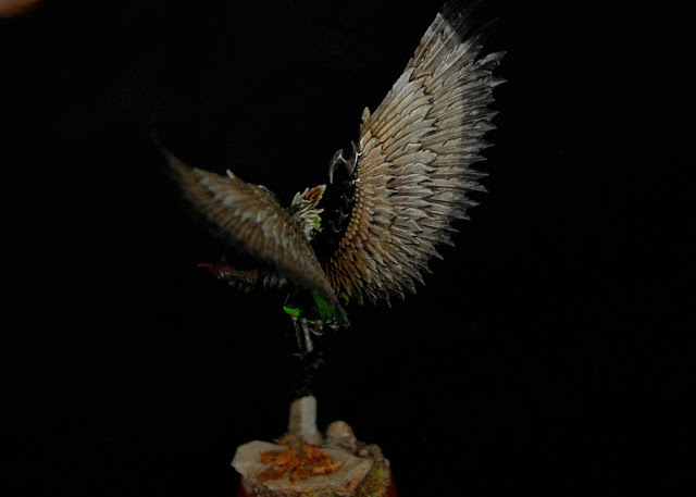 Haemonculi Coven Models - Page 3 Birdwing_Scourges_11