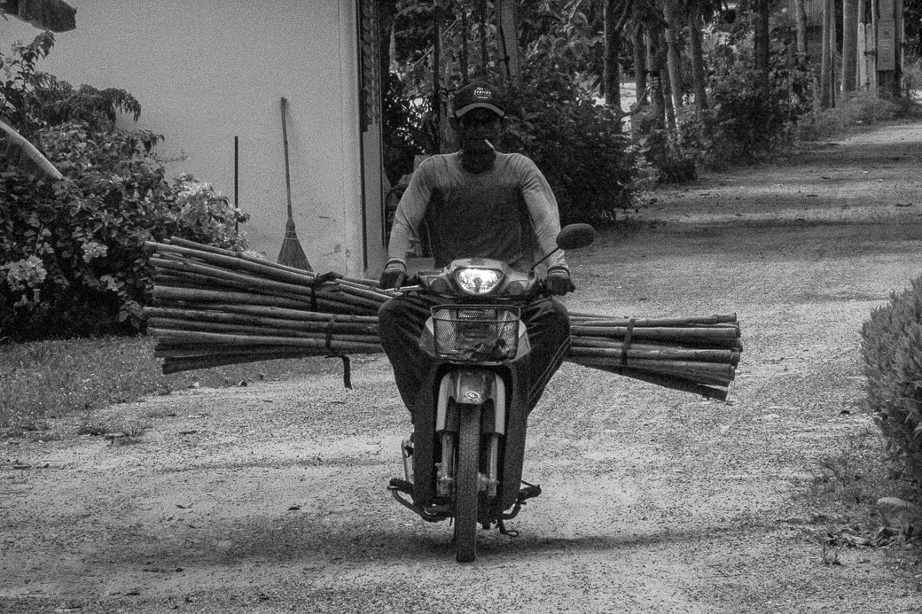 Samui%2BNative%2B2%2B-3032.jpg