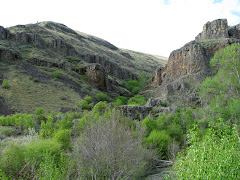 Umtanum Creek canyon