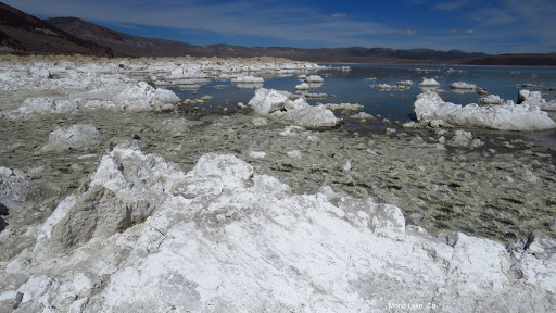Mono Lake Park