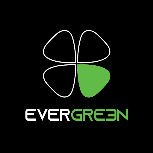 Evergreen Chivasso - Pizzeria - Friggitoria logo
