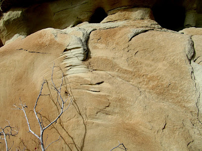 Marks in the rock from a bush blowing in the wind