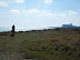 Sizewell from Minsmere