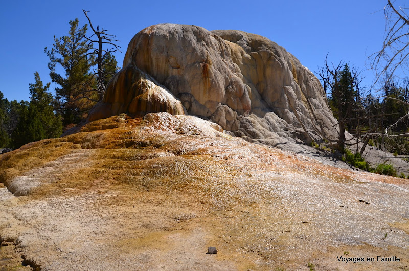 yellowstone mammoth hot springs